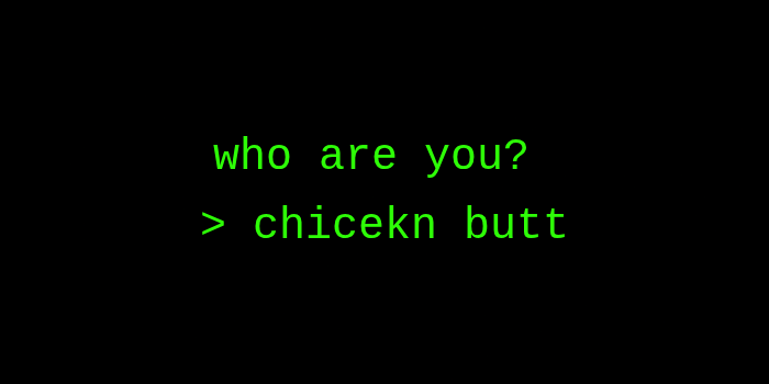 prompt showing ‘who are you’ and responded ‘chicekn butt’